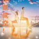 沈先生调数技巧大全：花式玩法解析