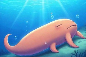 海洋中的瞌睡大王：揭秘最爱睡觉的海洋生物