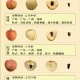 1.品种稀缺性，海南荔枝以妃子笑黑叶等品种为主，但荔枝王属于罕见的自然突变体，其基因序列经中科院热带作物研究所检测，显示果皮厚度、糖分积累等指标显著优于常规品种，海南荔枝王，中科院基因检测证实其果皮厚度与糖分指标双优