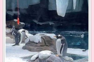 海洋之舟是什么动物？揭秘神秘海洋生物