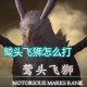 鹫头飞狮怎么打_1