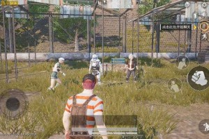 海盗怎么救人和平精英 队友 救人，精英