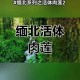 活体肉莲高清图片大全 - 博物馆珍藏特辑