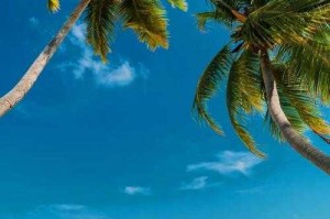 海岛壁纸与手机系统主题的搭配技巧有哪些