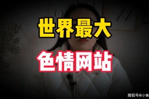 深夜福利：老司机必备的神秘网站合集