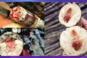 清明蔗毒过蛇？真相揭秘