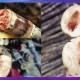 清明蔗毒过蛇？真相揭秘