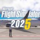 《模拟飞行2004》2025年深度使用指南
