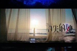 消失的她：真相背后的隐秘迷局