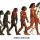 10分钟看完人类进化史全过程视频  从猿到人的演化历程详解