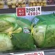 韩国高温致大白菜价格暴涨事件全解析，韩国高温催生大白菜价格飞涨现象深度剖析