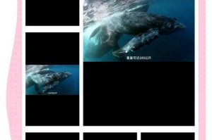 海洋动物心脏揭秘：哪些生物拥有心脏？