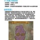 泰隆在魔兽争霸中的战术运用与策略解析