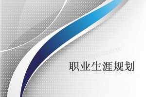 人物背景与职业生涯，人物背景与职业发展全解析