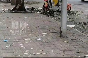 环卫工翻垃圾争议事件，环卫工翻垃圾引争议，权益保障与公众认知的冲突
