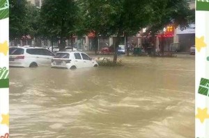 灾情全记录，暴雨中的生死时速，暴雨中的生死时速，灾情全记录