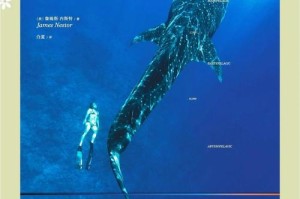 海洋深处＂的替代标题是什么？，是什么，是什么 是什么