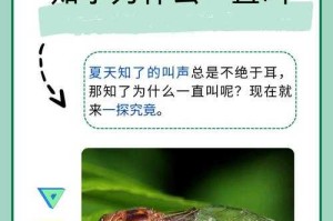知了经济现象解析，知了经济现象，2023年中国经济复苏的五大核心驱动力