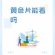 9-1免费版看片体验揭秘：风险与价值分析，看完还敢用吗？