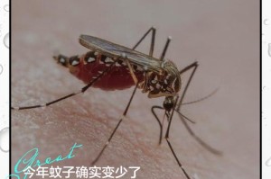 今年蚊子为何变懒？高温与气候变迁下的生存法则，气候变暖催生蚊子新行为，高温下的生存策略进化
