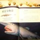 深海迷航日记揭秘，探索美丽水世界，揭秘海底最小生物Top9排行