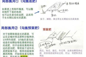 深耕细作：妙妙教你高效农业管理技巧