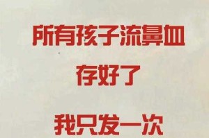 杭州多所小学现学生流鼻血事件，一场牵动千家万户的呼吸之痛，杭州多校频发学生流鼻血事件 呼吸健康危机引社会关注