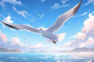 海鸥翱翔：探索自然之美与自由之旅