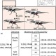 饿了么7.13免单一分钟恐龙题答案解析及时间