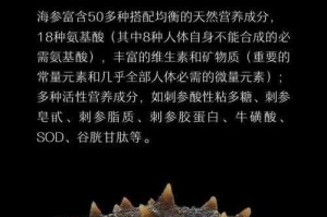 海参的营养价值及七大功效解析