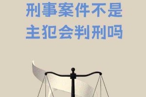 案件背景与历史意义，案件背景与历史意义，XXX案件的社会影响与时代价值