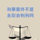 案件背景与历史意义，案件背景与历史意义，XXX案件的社会影响与时代价值