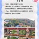 永春台位置在哪？永春台旅游攻略指南