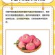 深入分析脆苹果游戏攻略：如何提高战斗力