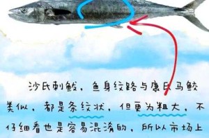 海马和金鱼的分类及区别解析