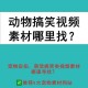 高清免费人物动物视频，普通话解说，真实生动体验