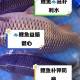 鲤鱼喝水绝技揭秘：揭秘女性魅力提升的秘密