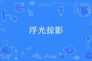 浮光掠影：瞬间捕捉的生活美学