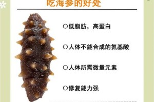 海参的7大营养功效与食用价值