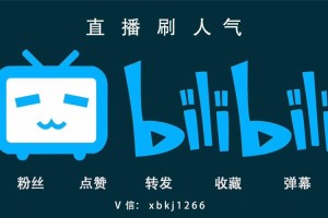深夜偷偷刷B站的年轻人都在看什么？