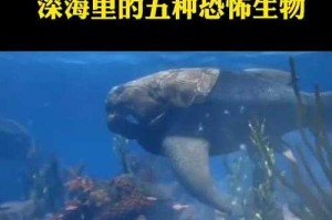 深海危机：全球海洋生态面临的致命威胁