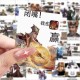 测试大学生玩三国杀 计算机系 大学生，专业
