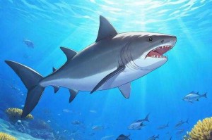 海洋之星2捕鱼官方正版下载-最新手机版安装