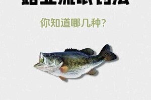 海龟垂钓技巧与钓点全攻略