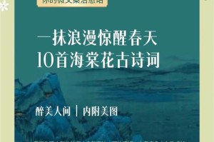 海棠春色燕双飞：经雨润色更添韵