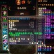 动物守护者3 16木桩通关2025实测攻略