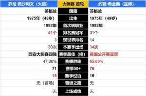 火主VS风主2025属性对比与团队策略