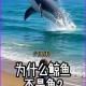 海马是鱼吗？鲸鱼为什么不算鱼类