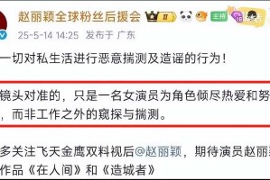 事件背景与争议焦点，事件背景与争议焦点，透视XX争议的深层矛盾