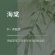 海棠书屋官网正版阅读 - 海量小说免费在线阅读